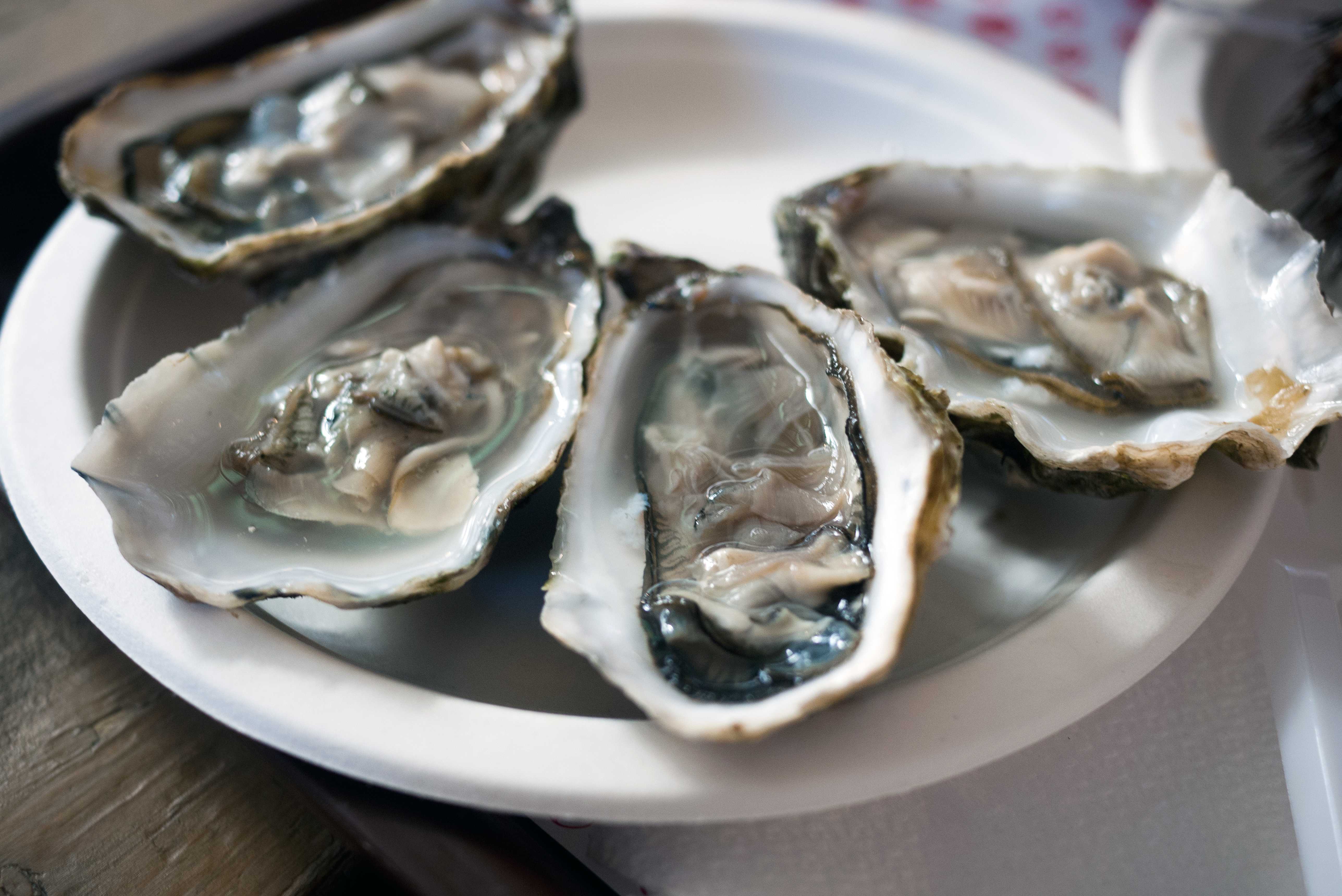 27 People Are Sick & 5 Hospitalized In A Multistate Raw Oyster Recall — WESH 2 Orlando, Winter Park Dining news