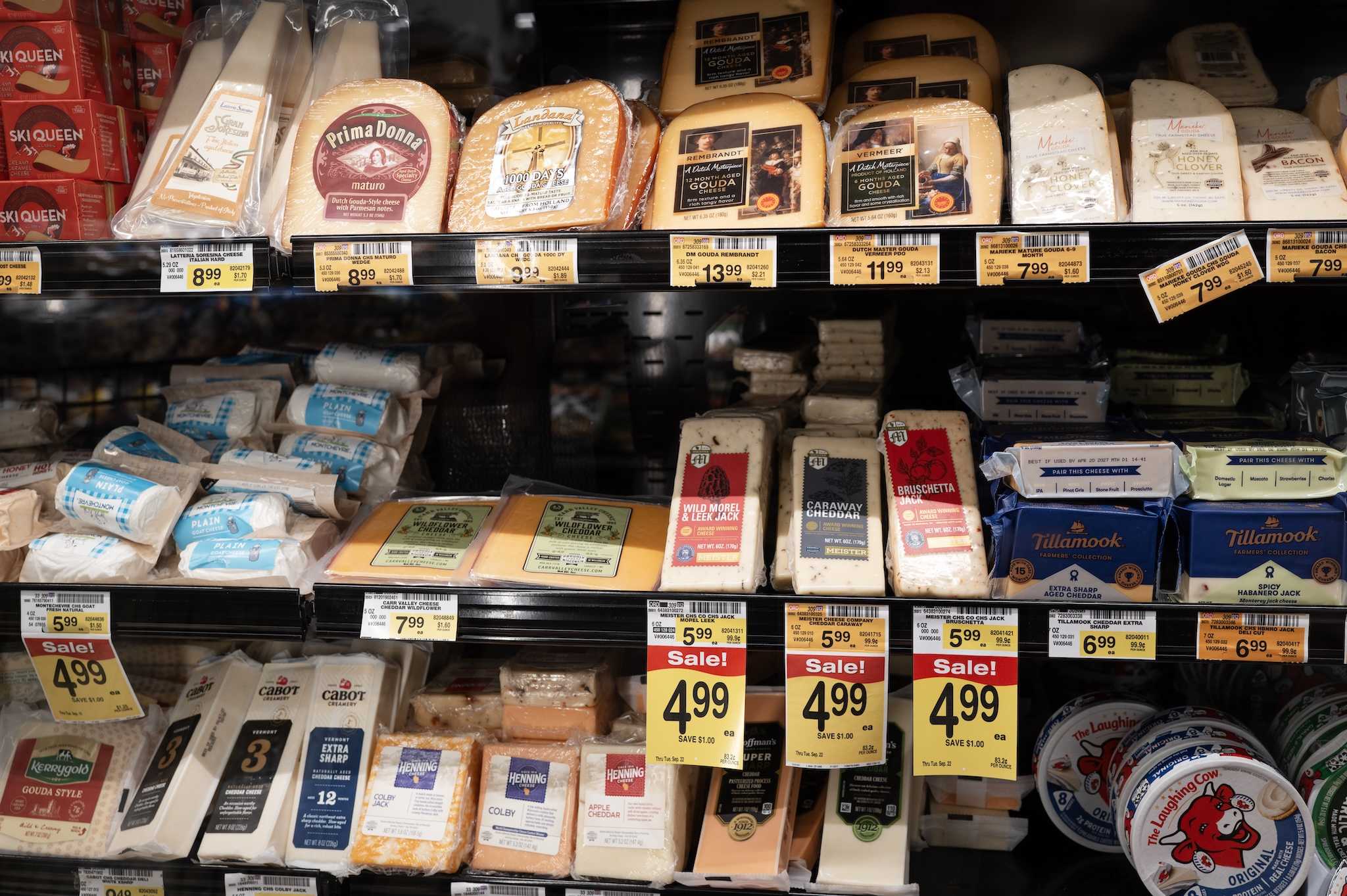 8 people hospitalized in E. coli outbreak linked to raw milk cheese — WESH 2 Orlando, Winter Park Health news