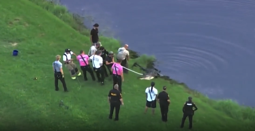 Winter Garden alligator attack victim died from blunt force injury, drowning, medical examiner finds — WESH 2 Orlando, Winter Park Health news