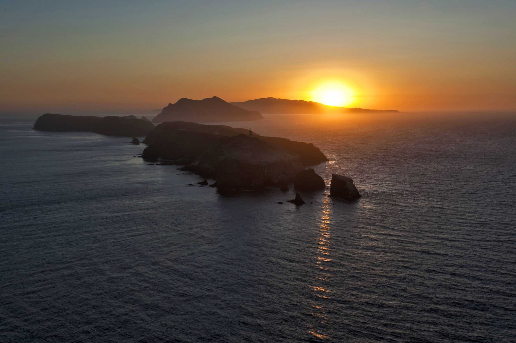 New species with 'tadpole'-like tentacles that glow discovered off California coast — WESH 2 Orlando