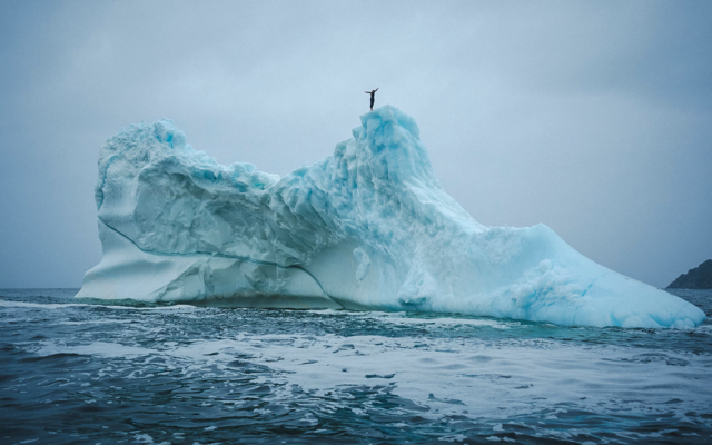 Cliff diver Molly Carson makes history, becomes first woman to dive off iceberg — WESH 2 Orlando, Winter Park Community news