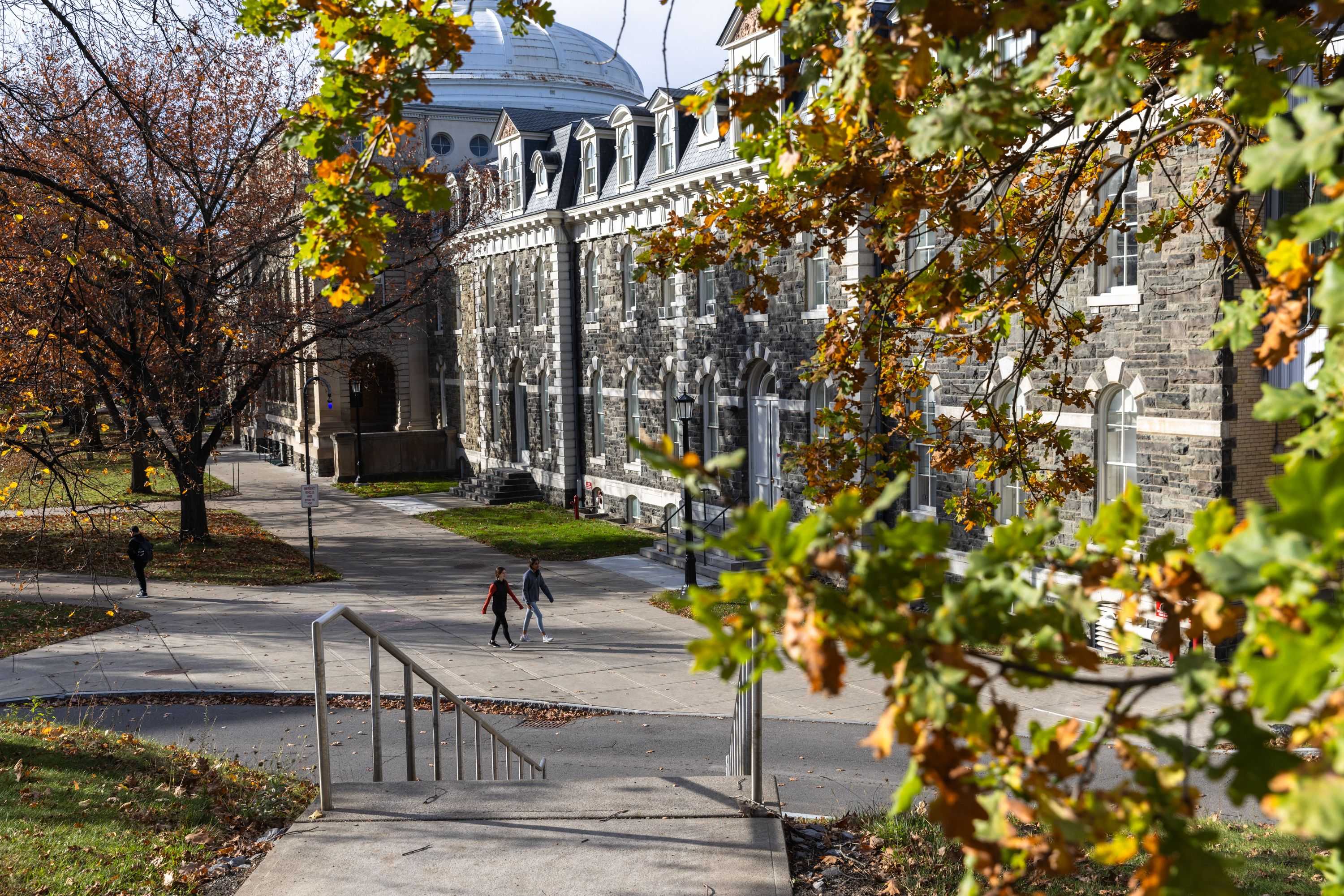 Cornell student suspended after 2023 alleged assault was then placed in co-ed dorm, professor says — Winter Park Schools news