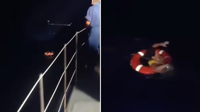 Dramatic rescue: Woman survives nearly 24 hours at sea after falling overboard cruise ship in Greece — WESH 2 Orlando, Winter Park Community news