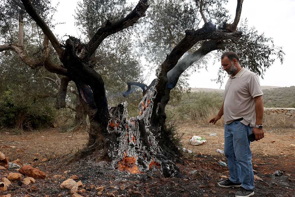 Masked settlers attack European diplomats in the occupied West Bank — WESH 2 Orlando, Winter Park Community news