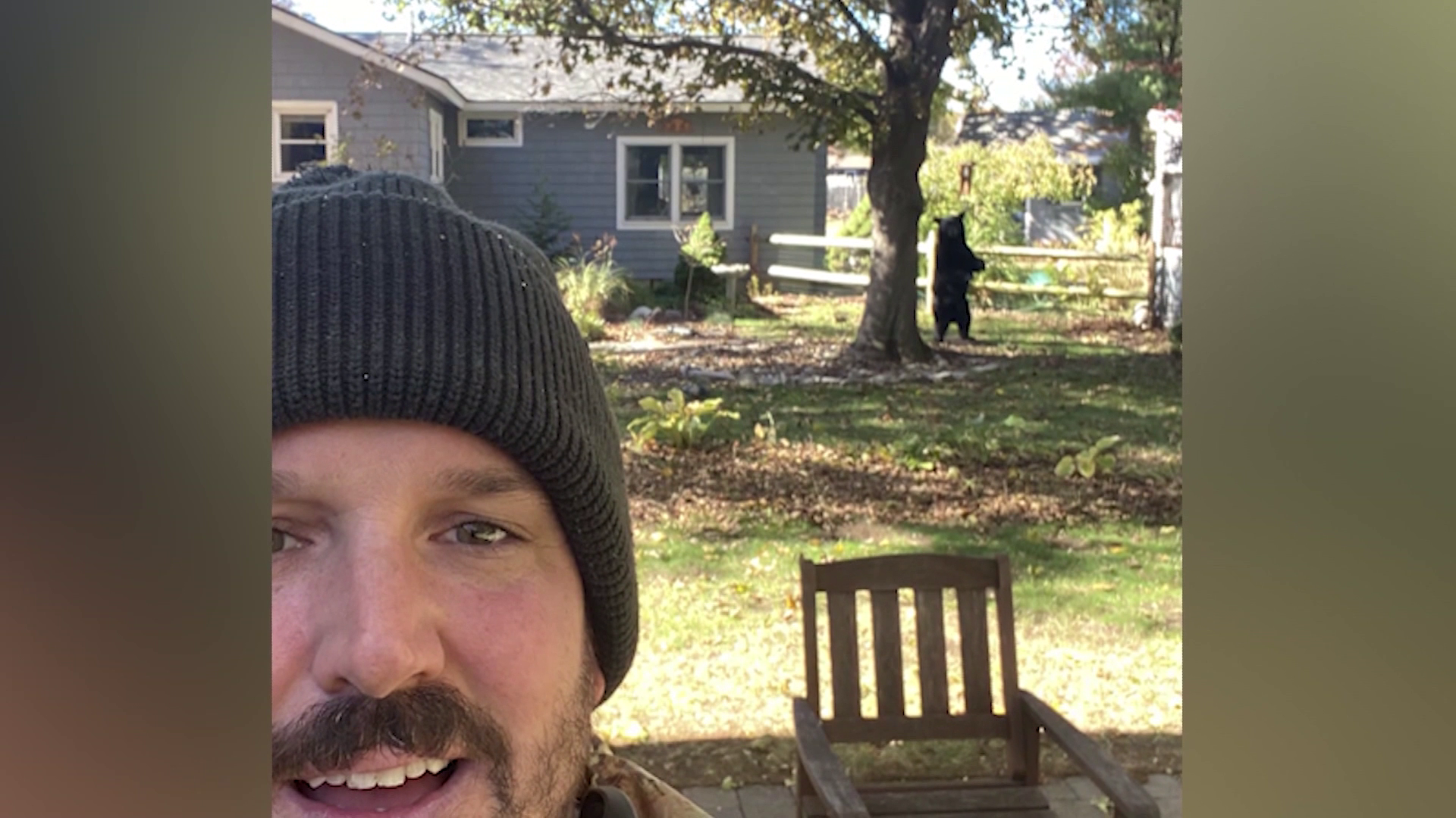 'Big, furry pillow lounging next to that tree': Man snaps selfie with black bear — WESH 2 Orlando, Winter Park Schools news