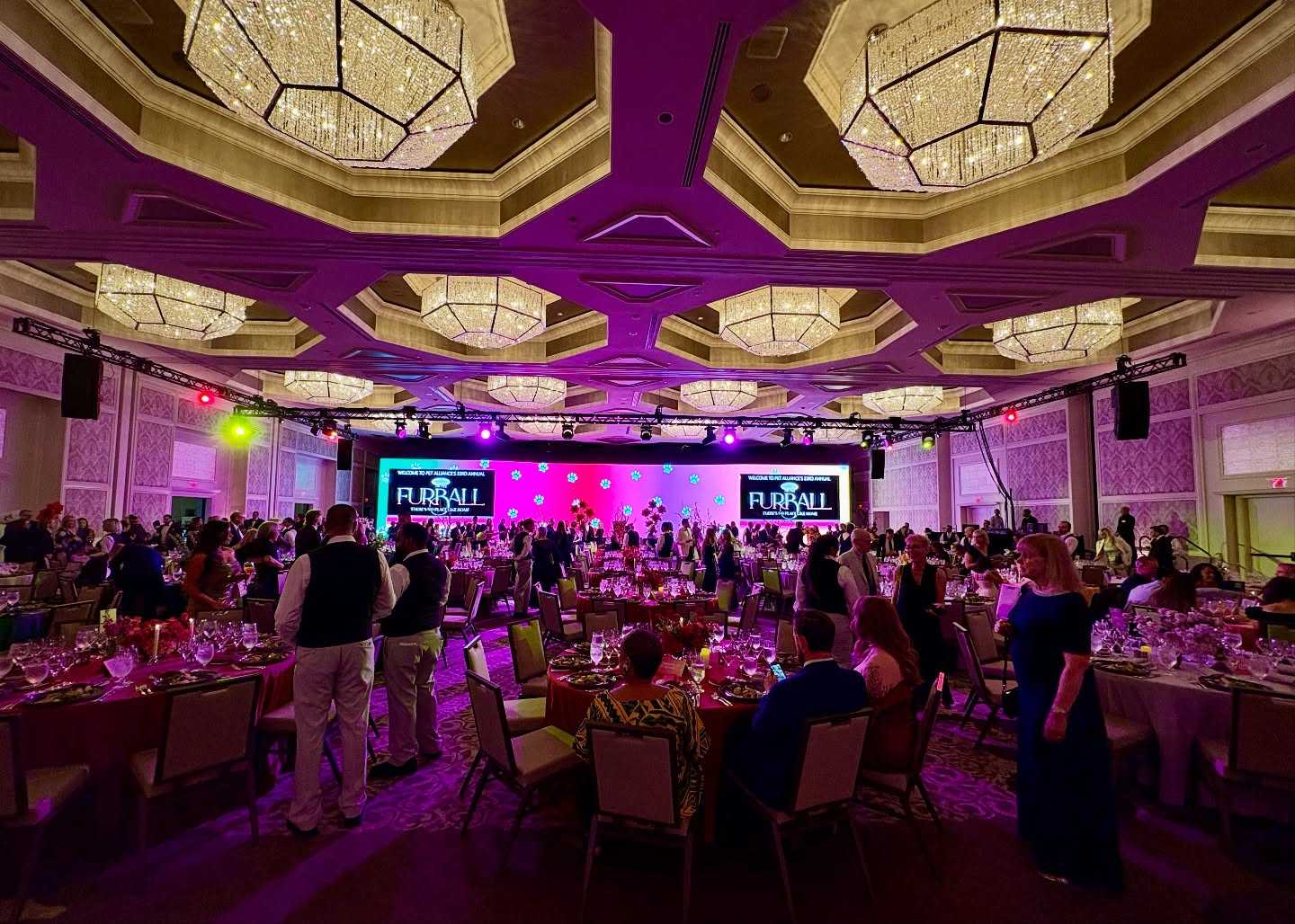 Pet Alliance announces Furball Gala in Orlando to support local pets — WESH 2 Orlando