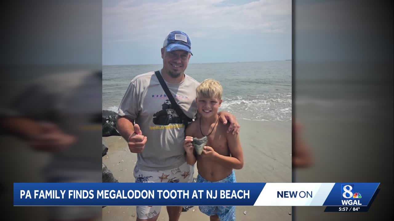 Rare, intact megalodon tooth found along New Jersey beach — WESH 2 Orlando, Winter Park Community news
