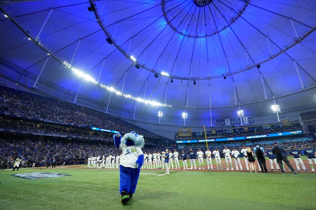 Who is the Tampa Bay Rays' mascot? | World Series  — WESH 2 Orlando