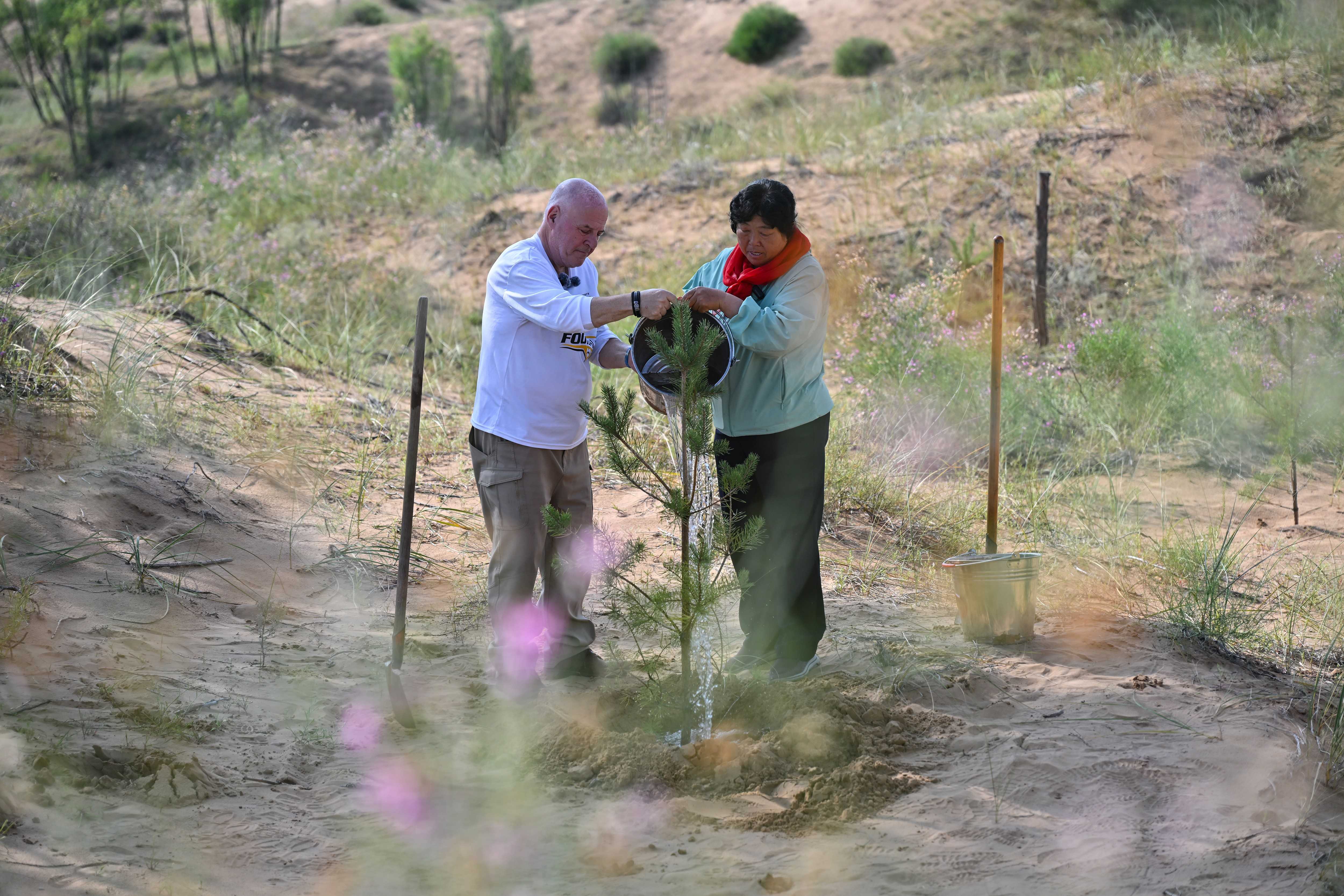 Retired US teacher returns to China to visit forest he helped grow — WESH 2 Orlando