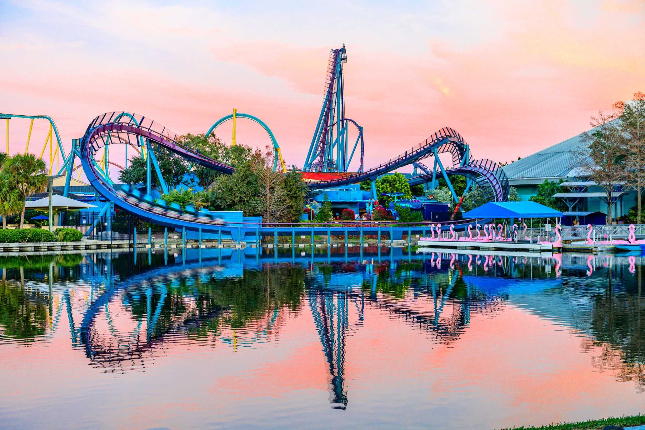 Mako reopens at SeaWorld Orlando after closure following death of Georgia Six Flags guest — WESH 2 Orlando