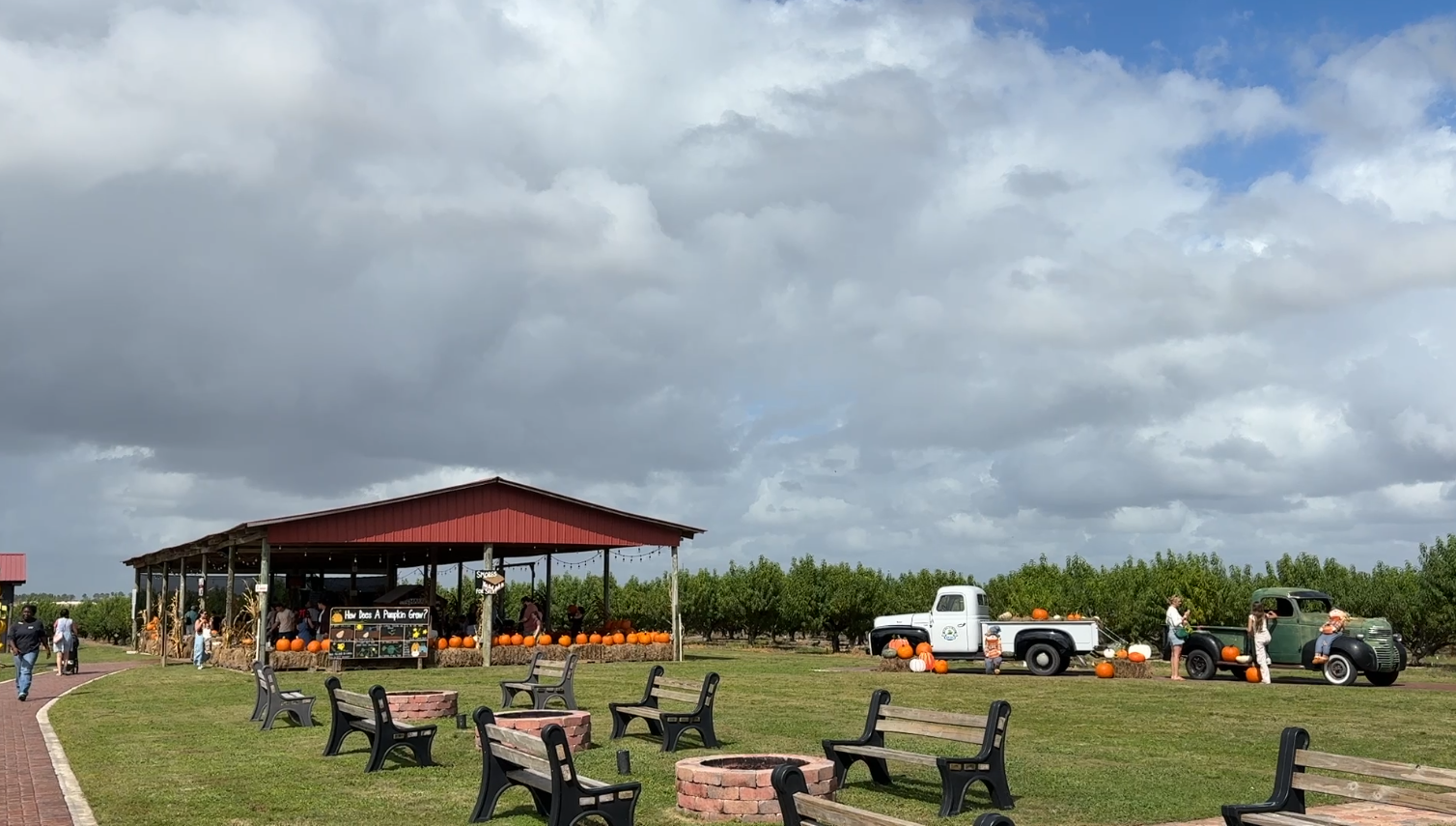 Southern Hill Farms hosts 11th annual fall festival in Clermont — Winter Park Arts news