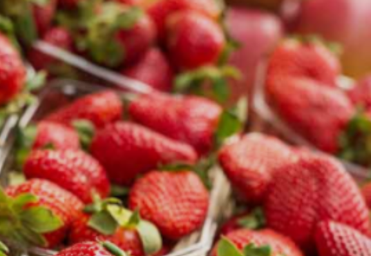 Strawberry farmer hopes steam holds the key to healthy soil and a better crop — WESH 2 Orlando