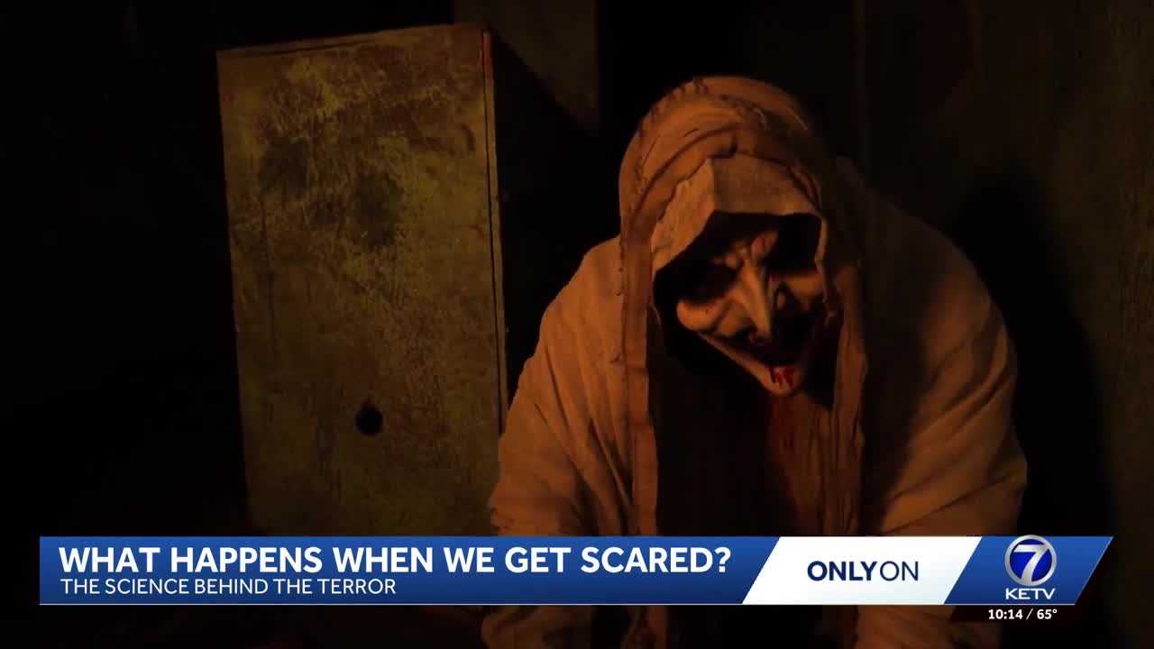 The science of being scared: What happens to your brain, body when fear strikes? β WESH 2 Orlando, Winter Park Community news