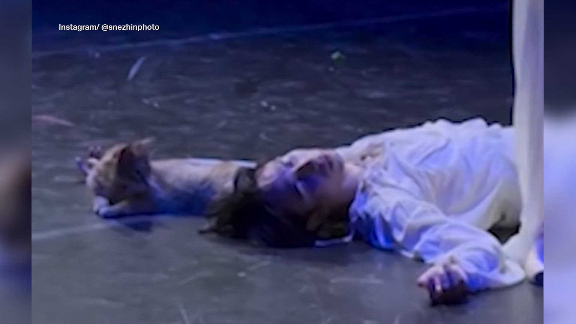 CUTE VIDEO: Stray cat steals the spotlight during 'Romeo & Juliet' performance — WESH 2 Orlando, Winter Park Arts news