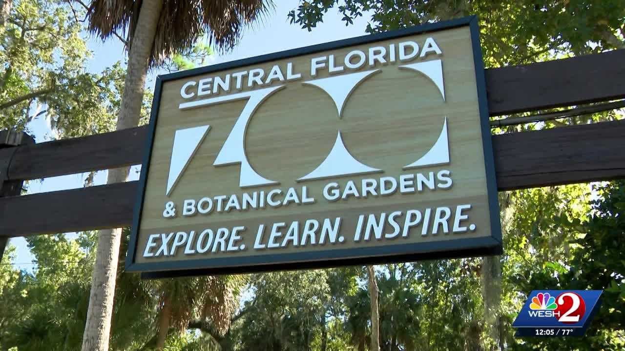 Officials gather to discuss new bipartisan bill to ban sloth imports — WESH 2 Orlando, Winter Park Community news