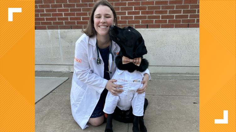 'Dogtor Walsh' reports for duty on the UT campus — KENS 5 (San Antonio), Winter Park Schools news