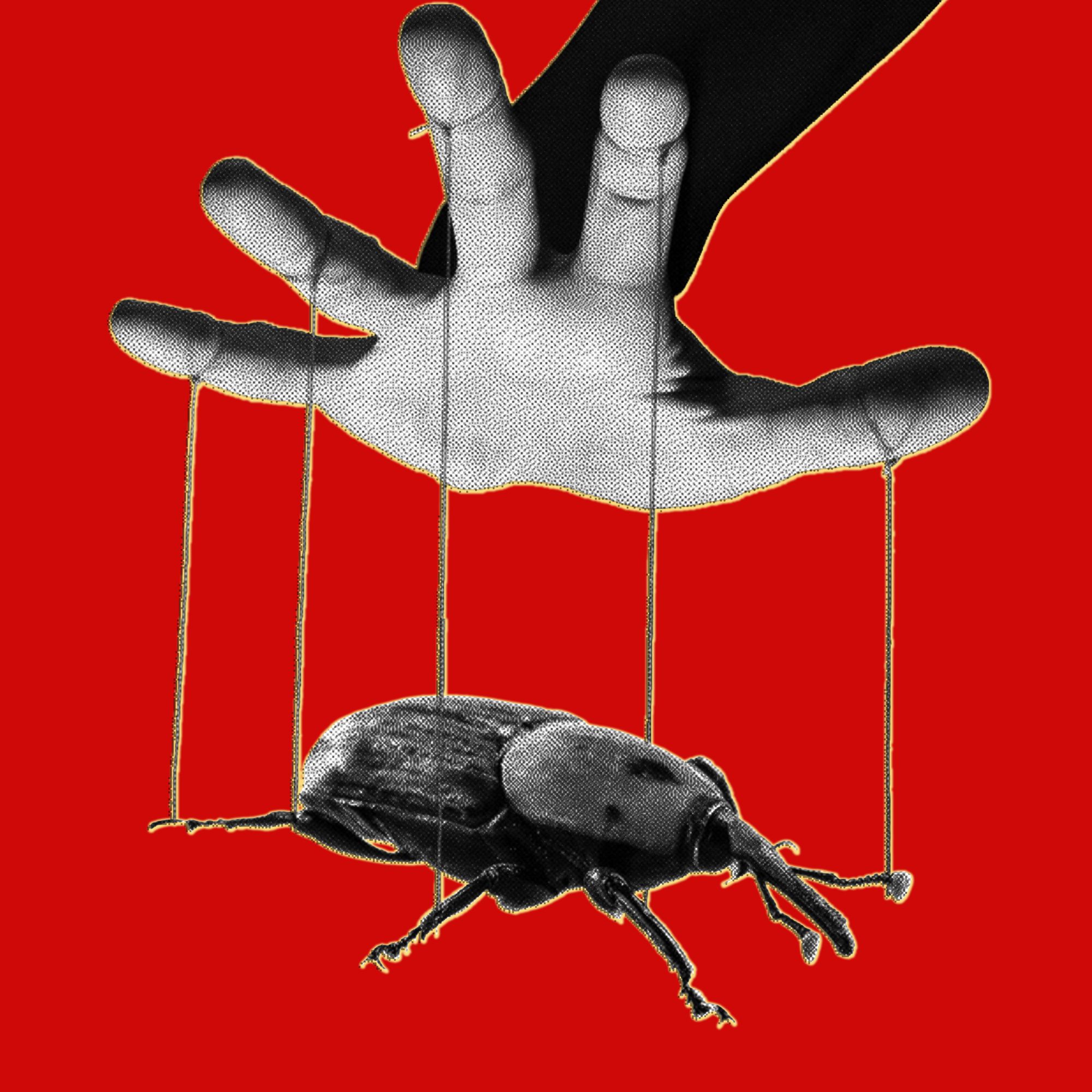 The PHP Meltdown Shows How AI Makes Bugs More Exploitable — Wired, Winter Park Technology news