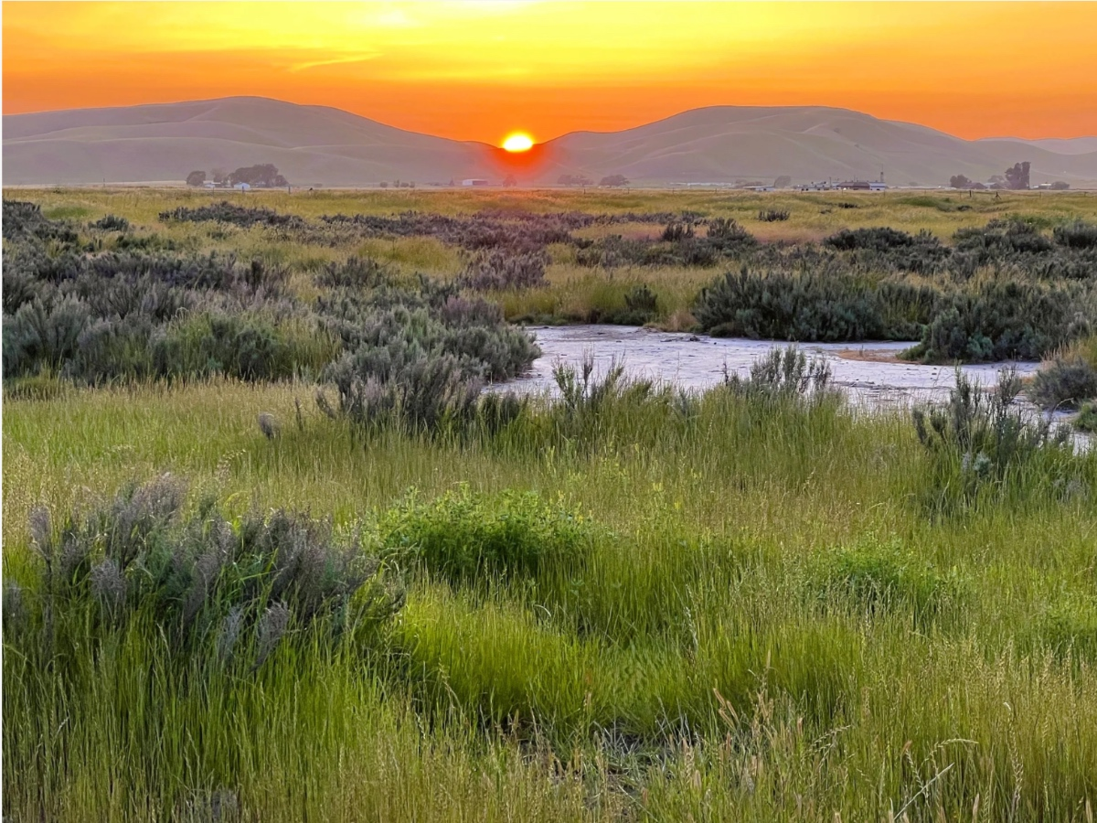 331 Acres Of Tri-Valley Wildlife Habitat, Open Space Permanently Protected — Danville Patch, Winter Park Community news